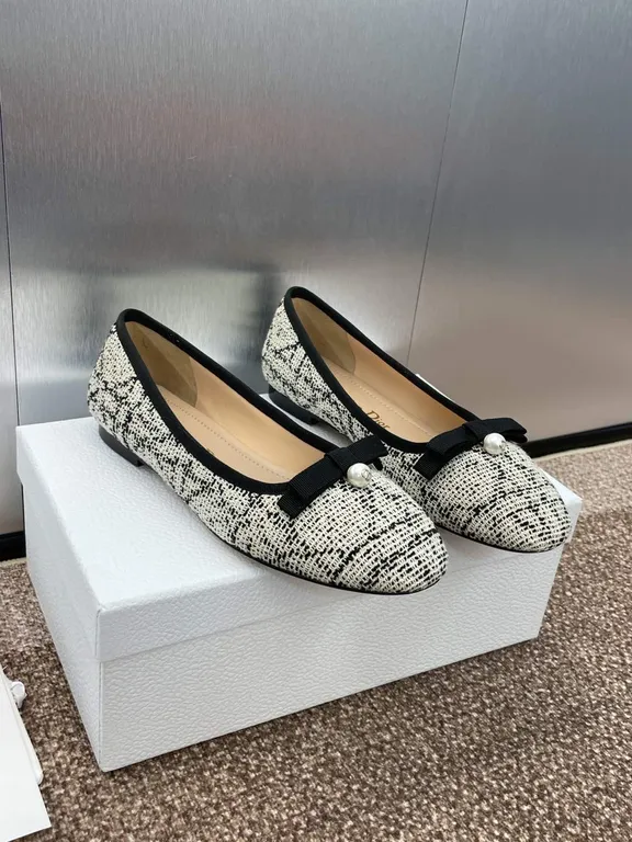 Dior Shoe 